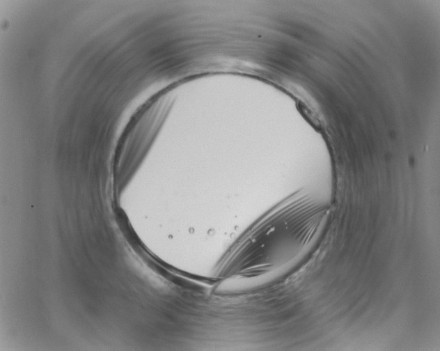 X0000065251136200603131121