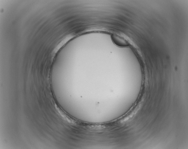 X0000065251137200603131121