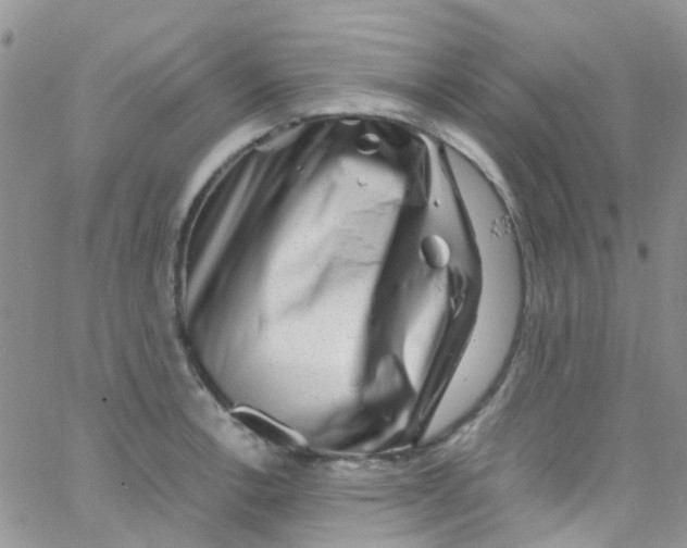 X0000065251138200603131121