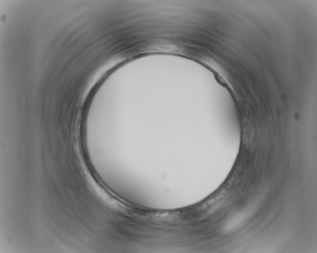 X0000065251139200603131121