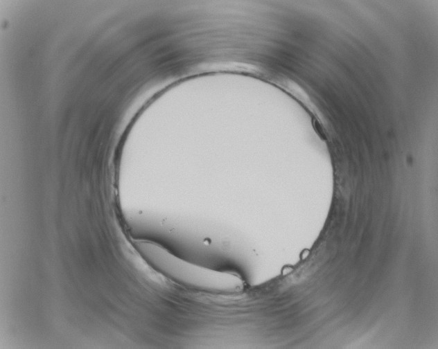 X0000065251140200603131121