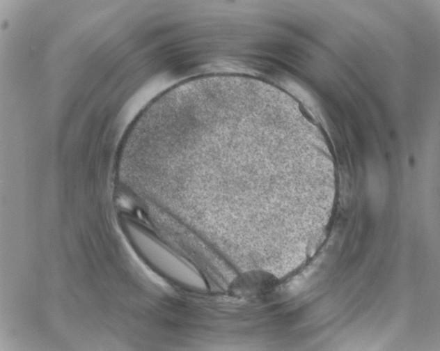 X0000065251141200603131121