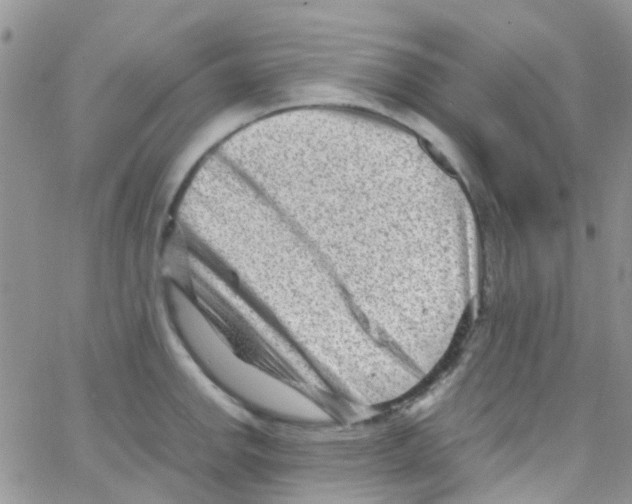 X0000065251142200603131121