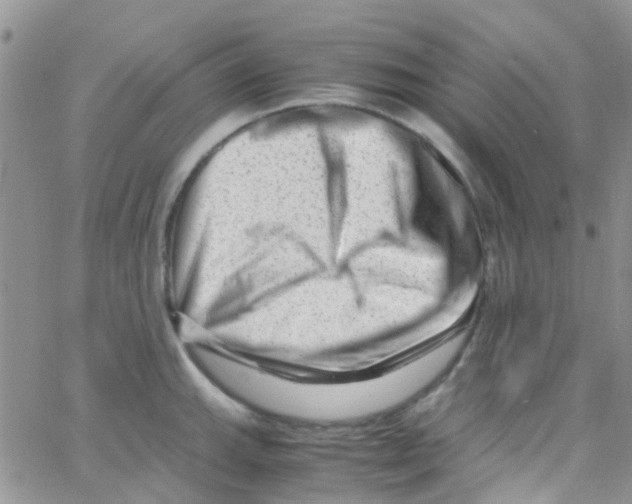 X0000065251143200603131121