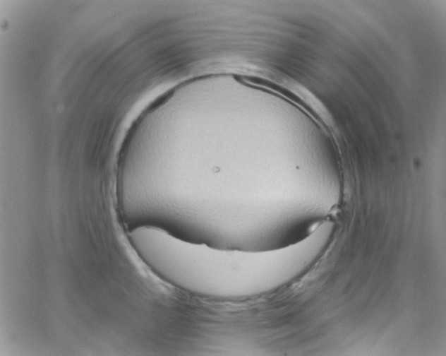 X0000065251144200603131121