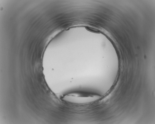 X0000065251145200603131121