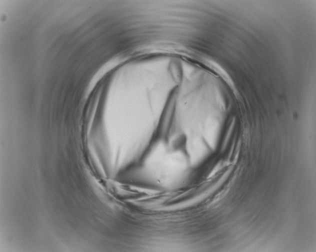 X0000065251146200603131121