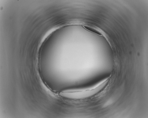 X0000065251147200603131121