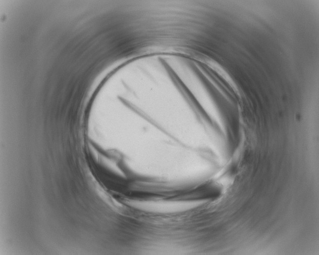 X0000065251148200603131121