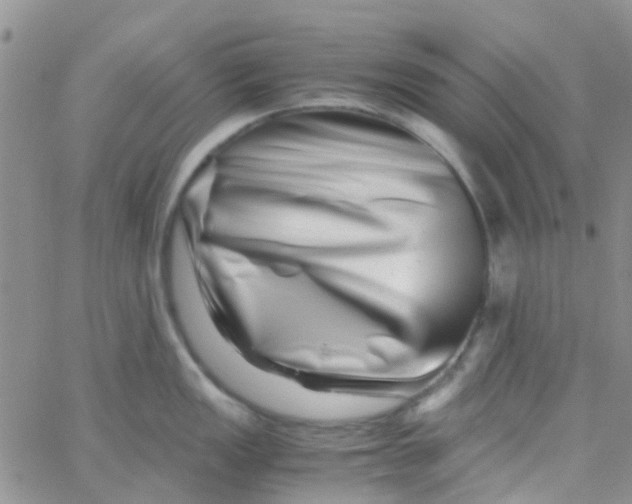 X0000065251149200603131121