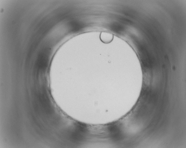 X0000065251150200603131121