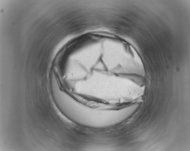 X0000065251151200603131121