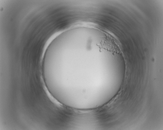 X0000065251152200603131121