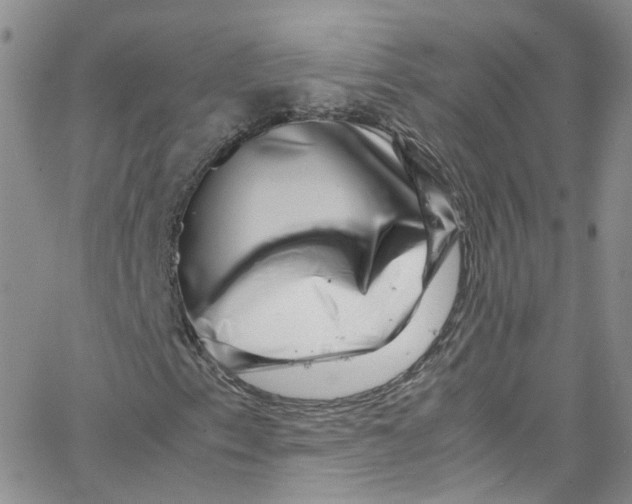 X0000065251153200603131121