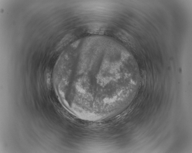 X0000065251154200603131121