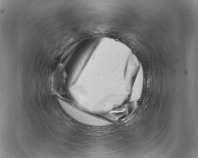 X0000065251156200603131121