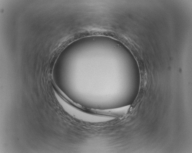 X0000065251157200603131121