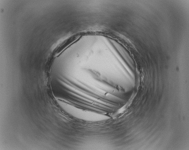 X0000065251160200603131121