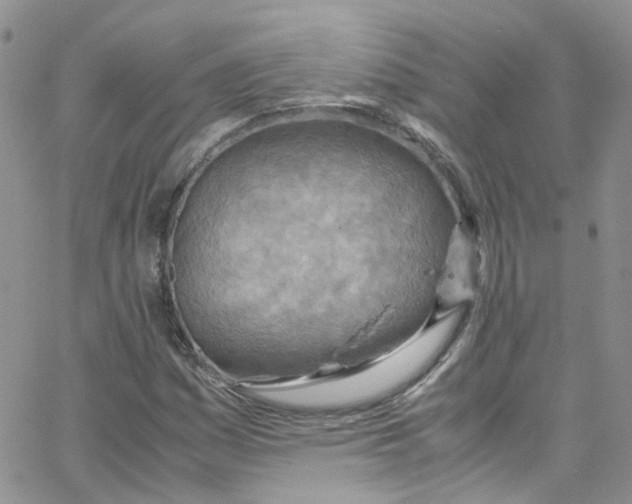 X0000065251161200603131121