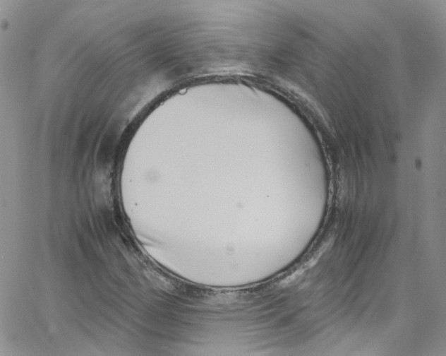 X0000065251162200603131120