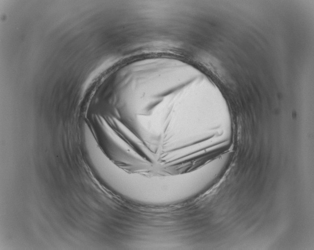 X0000065251164200603131120