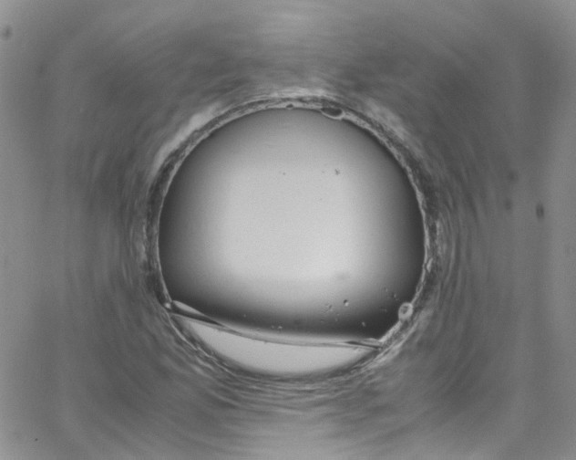 X0000065251165200603131120