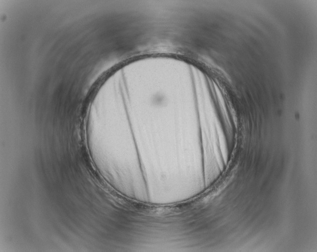 X0000065251166200603131120