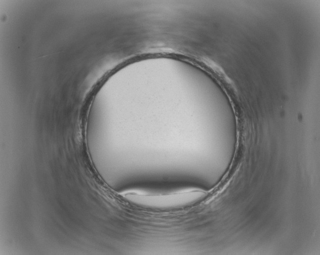 X0000065251167200603131120