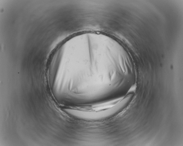 X0000065251168200603131120