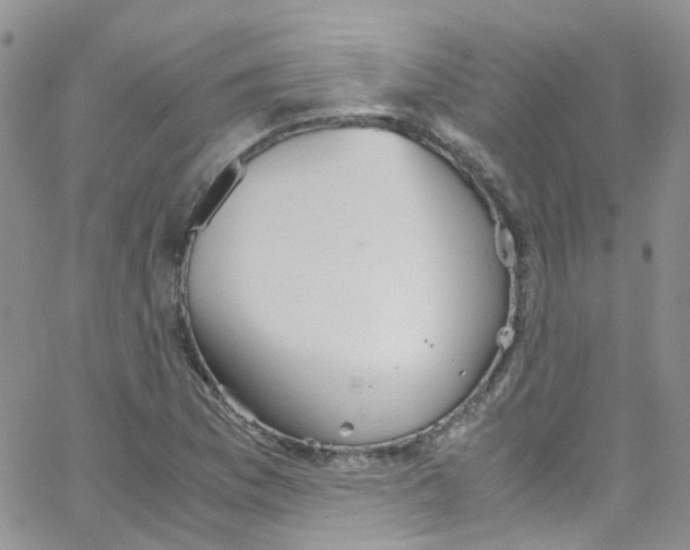 X0000065251169200603131120