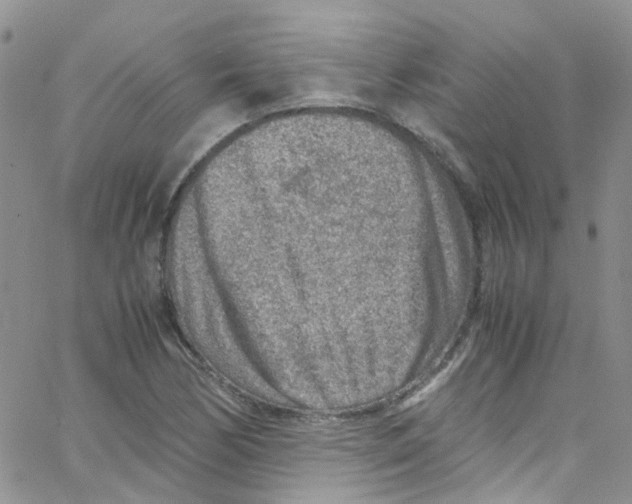 X0000065251170200603131120