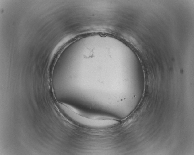 X0000065251172200603131120