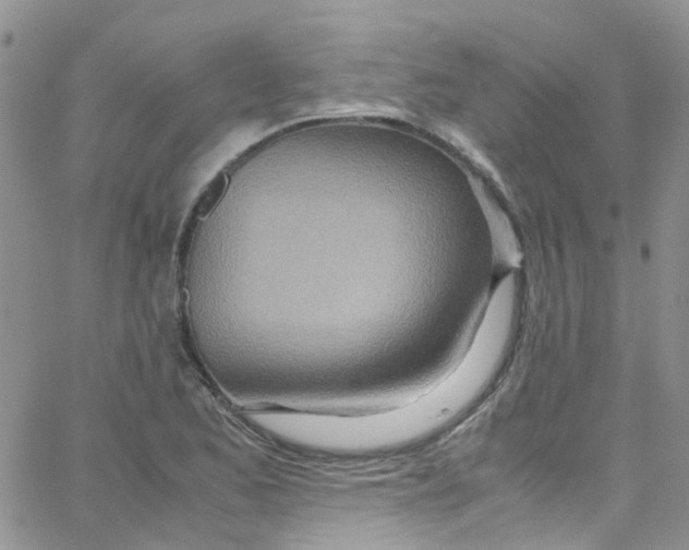 X0000065251173200603131120