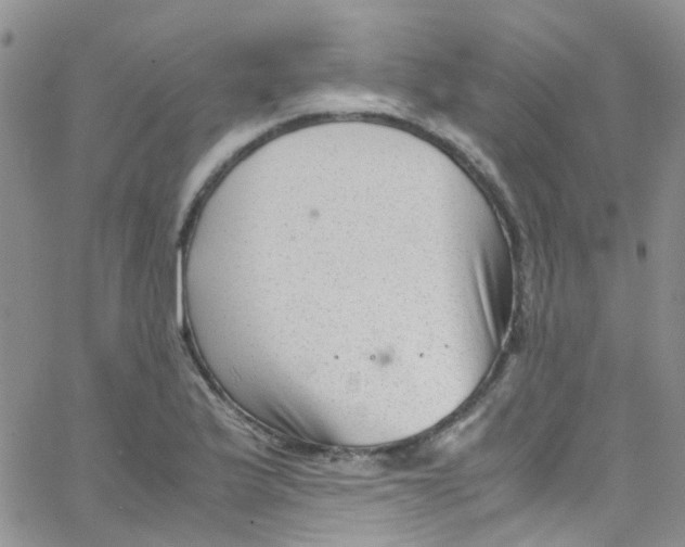 X0000065251175200603131120