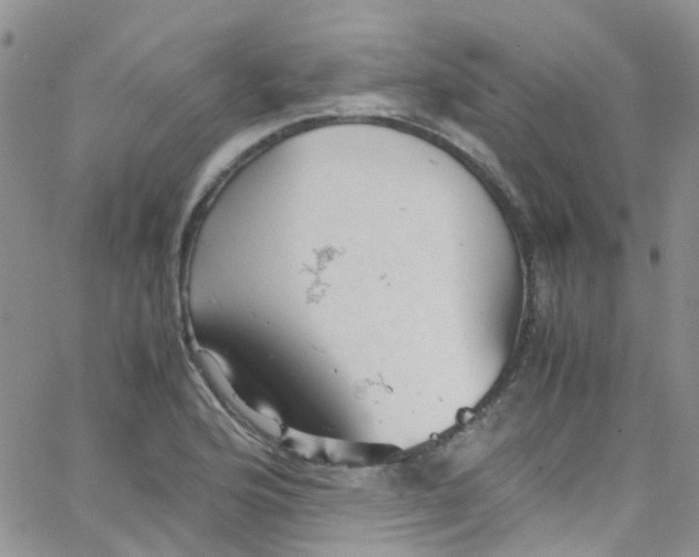 X0000065251176200603131120