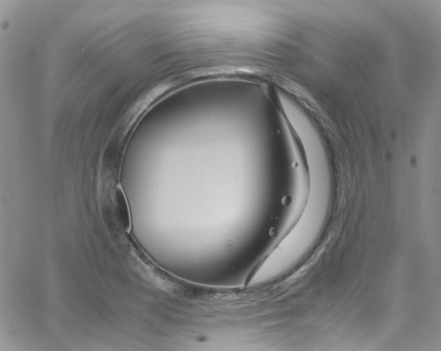 X0000065251177200603131120