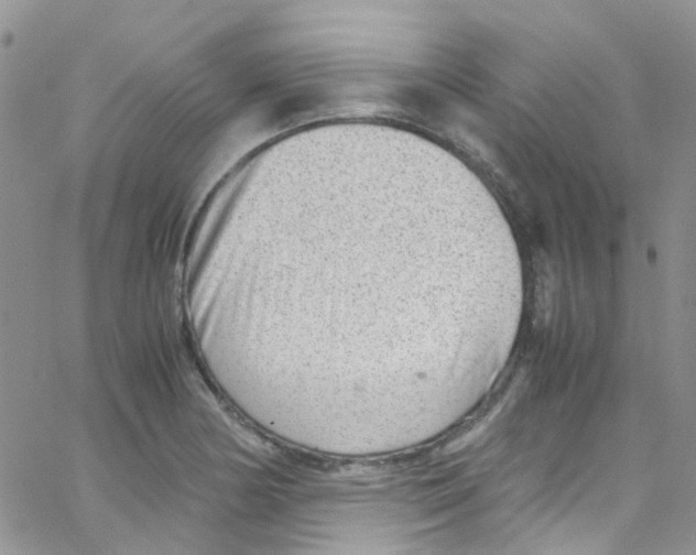 X0000065251178200603131120