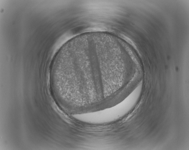 X0000065251179200603131120