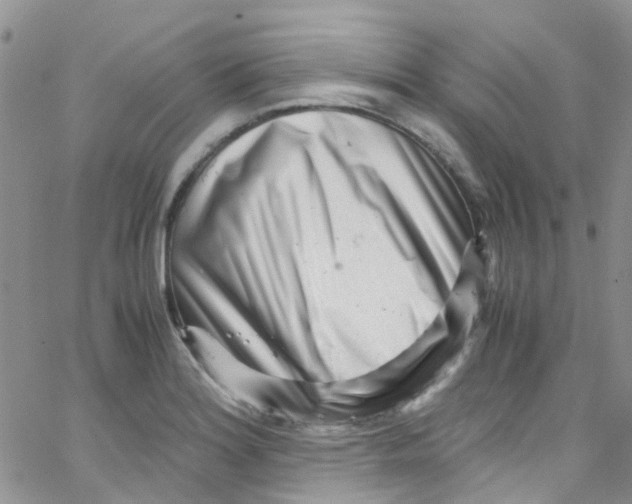 X0000065251180200603131120