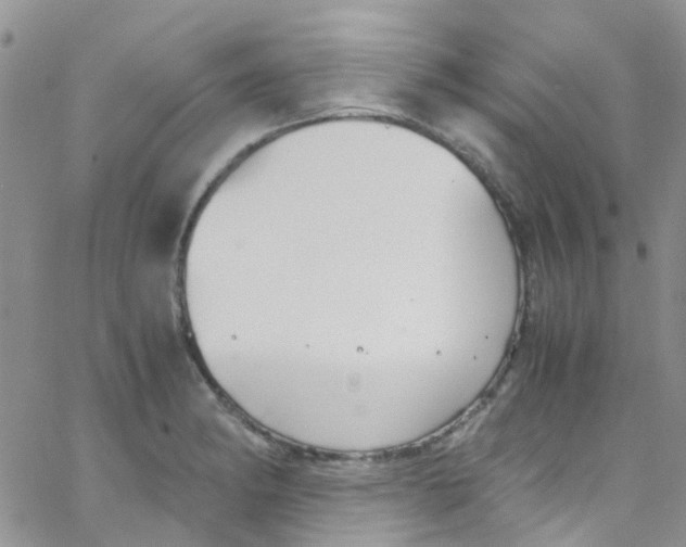 X0000065251182200603131120