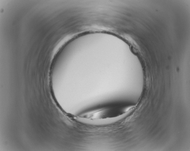 X0000065251183200603131120