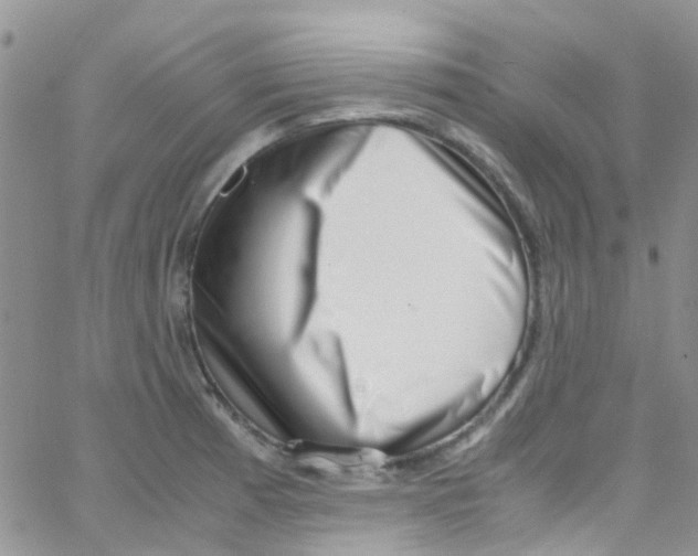 X0000065251185200603131120