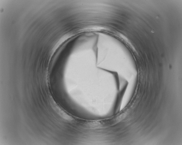 X0000065251186200603131120