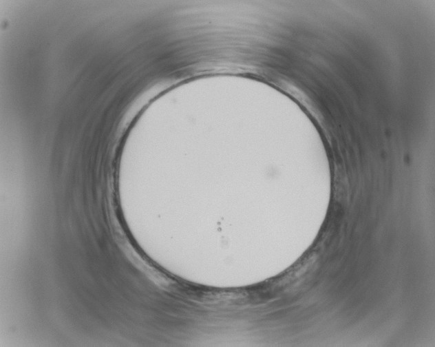 X0000065251187200603131120