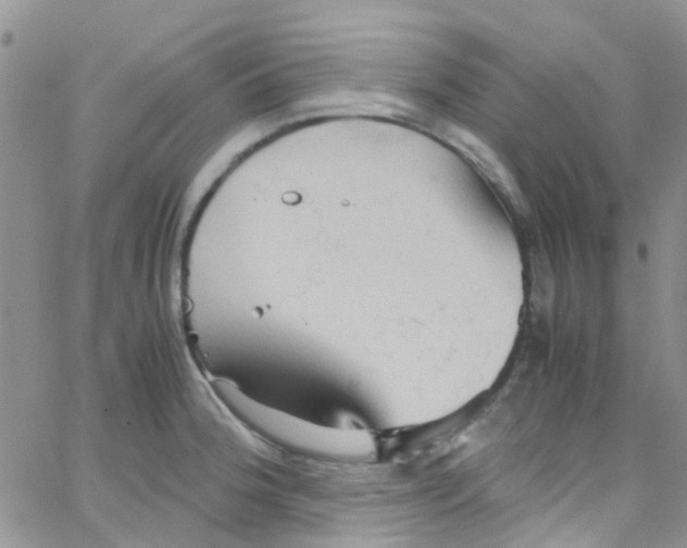 X0000065251188200603131120