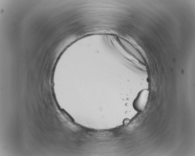 X0000065251189200603131120