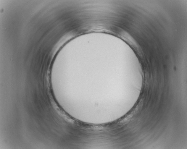 X0000065251190200603131120