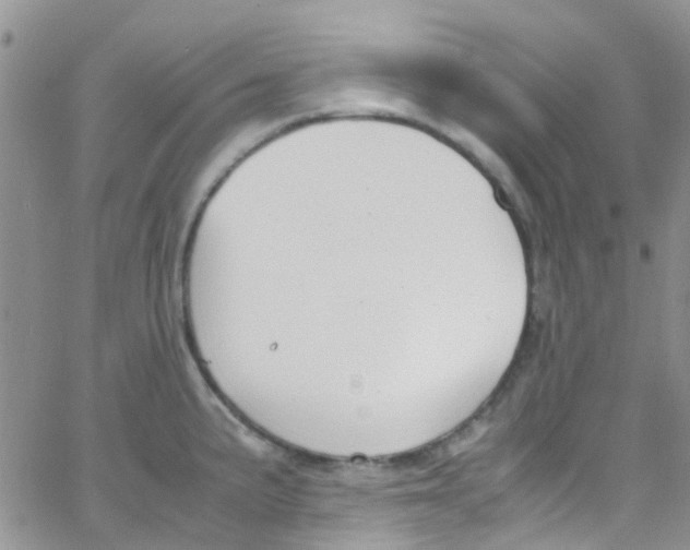 X0000065251191200603131120