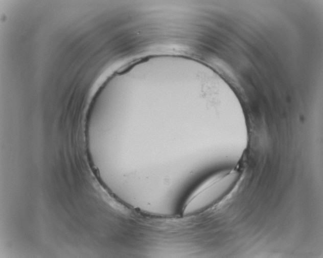 X0000065251192200603131120