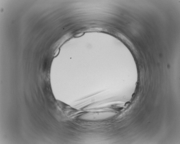 X0000065251193200603131120